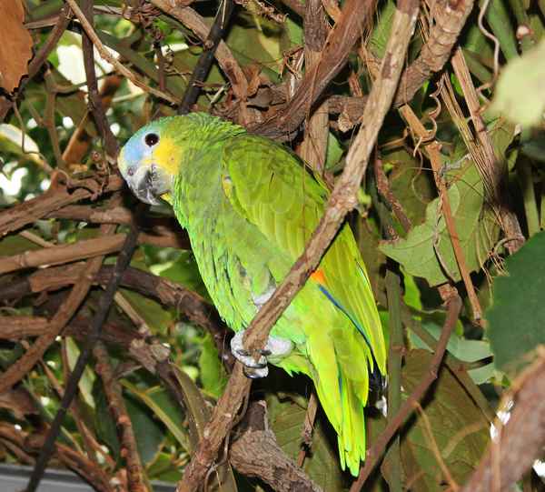 Haaallooo...hier oben bin ich!