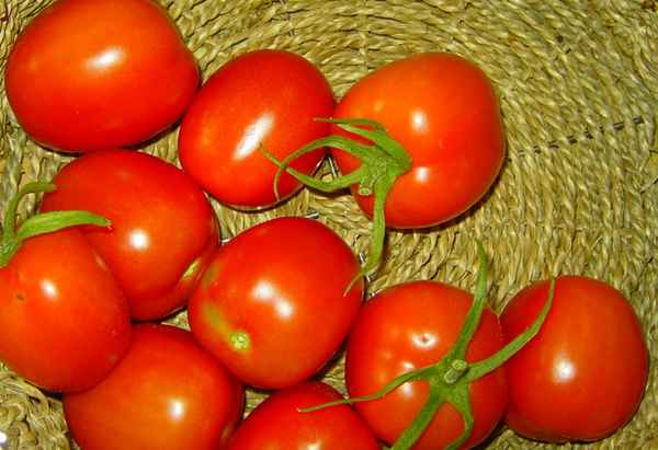 Leckere Tomaten...