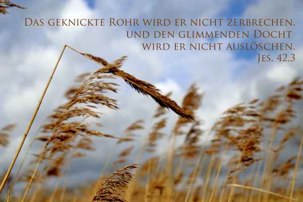 geknicktes rohr