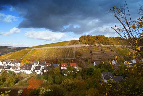 Herbstliches Weintal