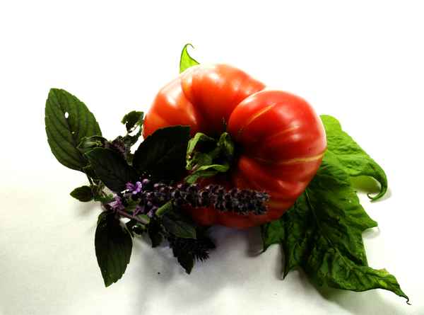 tomate mit basilikum