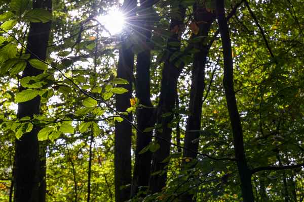 Endlich wieder Sonne