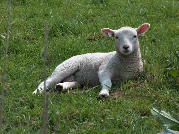 Mama kommt gleich ....