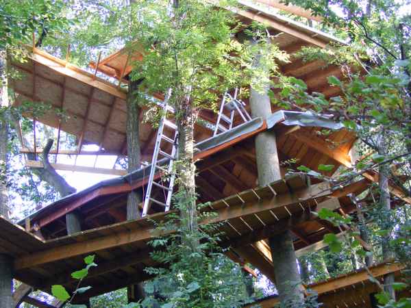 Baumhaus_2