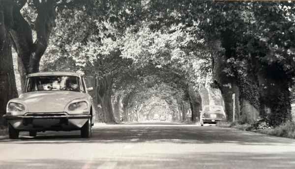 Landstra&szlig;e in S&uuml;dfrankreich