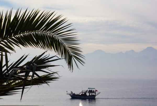 Antalya - Ausflugsboot, Taurusberge, Palmwedel