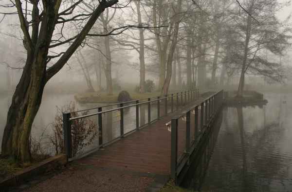 brücke ins nebelland