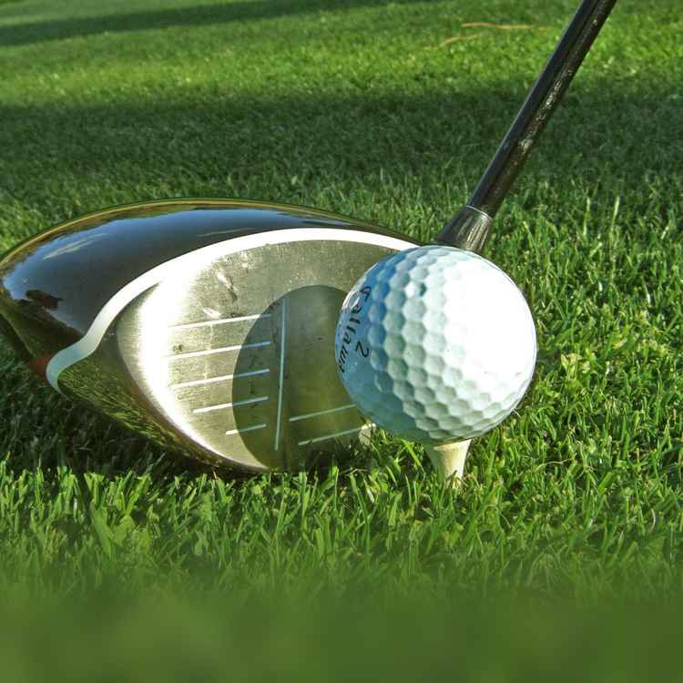 Golfschläger Driver, quadratisch