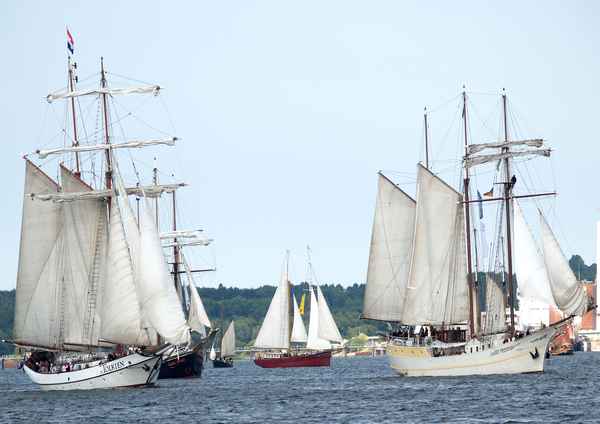 Großsegler unter sich