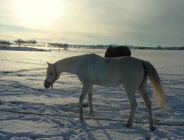 "Abendstille"