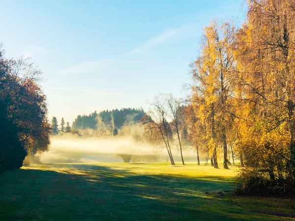 Goldener Novembermorgen