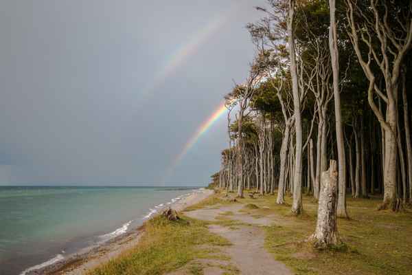Regenbogen am Zauberwald