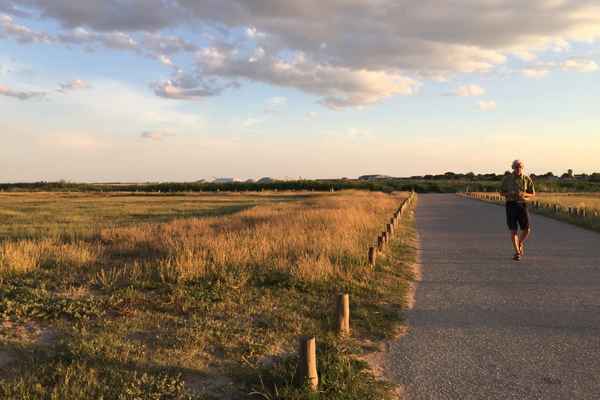 Abend in der Camargue
