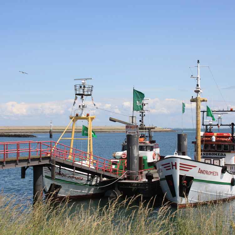 Fischerboot