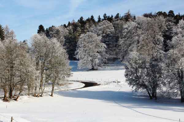 Straße durch den Winterwald