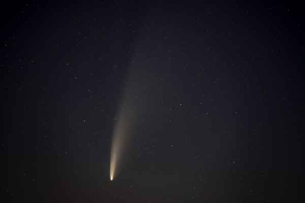 Schweifstern Neowise