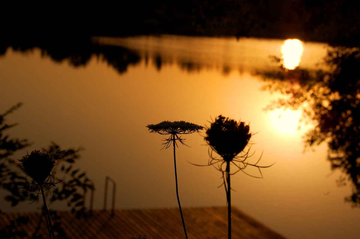 Sonnenaufgang2