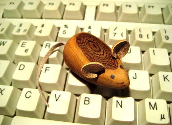 PC-Maus.....