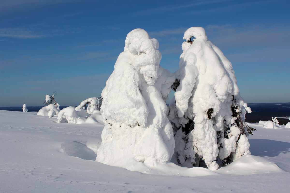 Schneelandschaft Finnisch Lappland