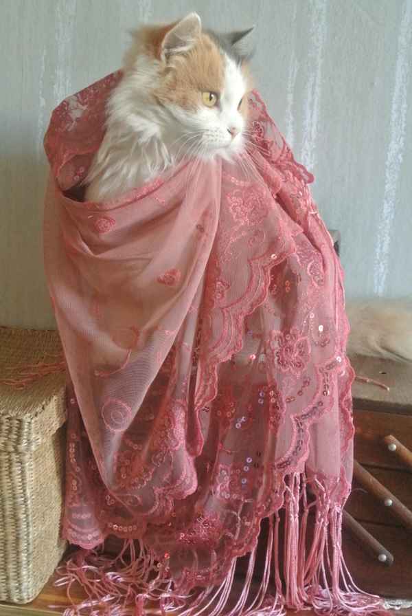 Io sono la più bella