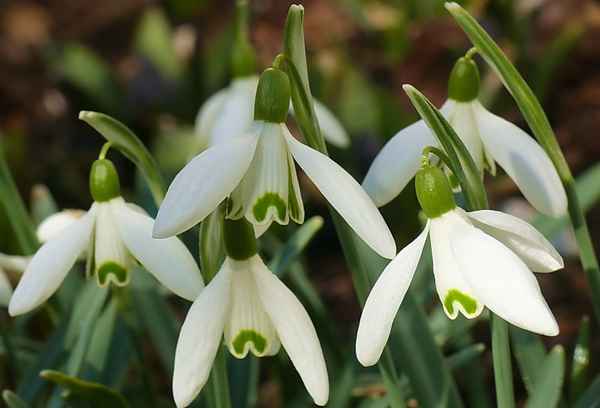Der Frühling kommt!