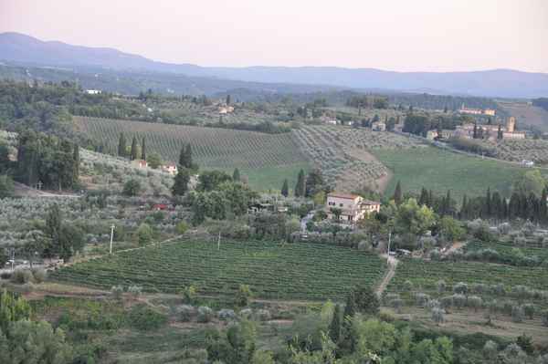 weite Landschaft in Italien mit Olivenhainen
