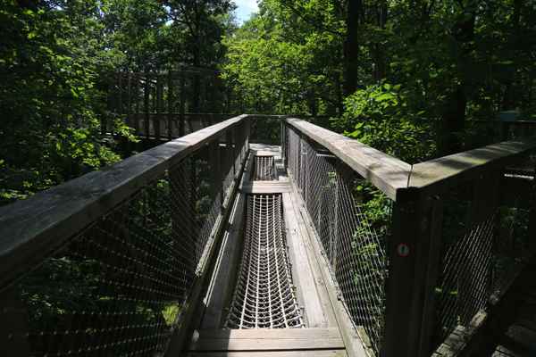 Baumwipfelpfad Steigerwald