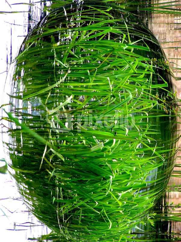 grüne Insel in 3D