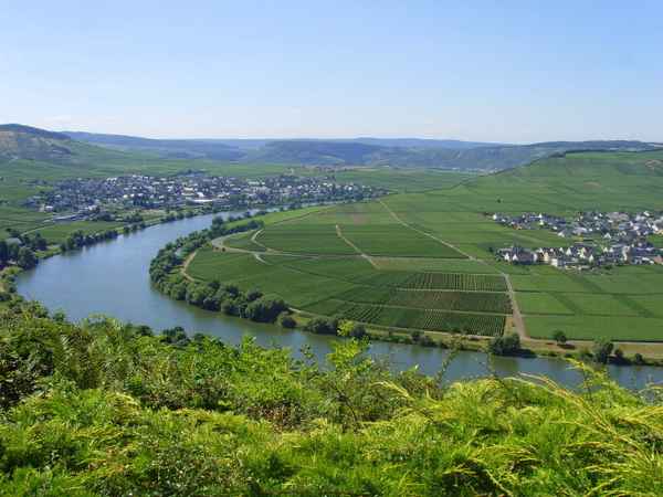 Urlaubsreifer Moselblick II