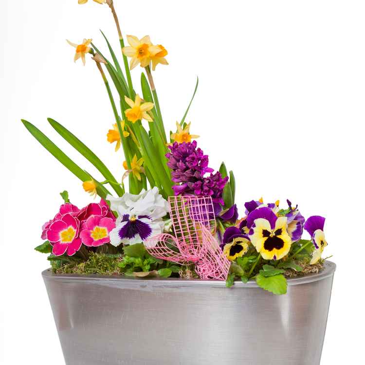 Oster Blumen Korb