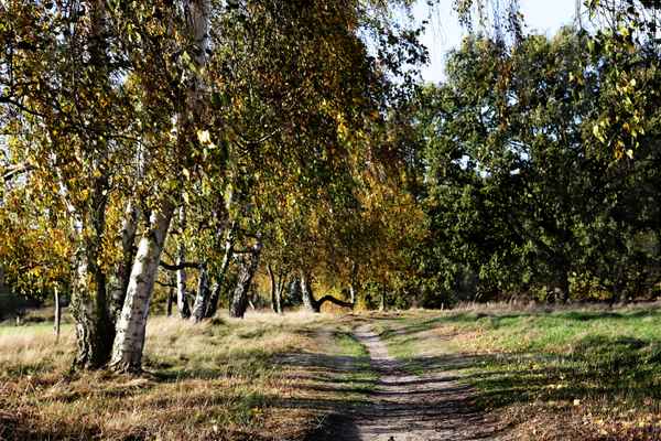 Naturschutzgebiet
