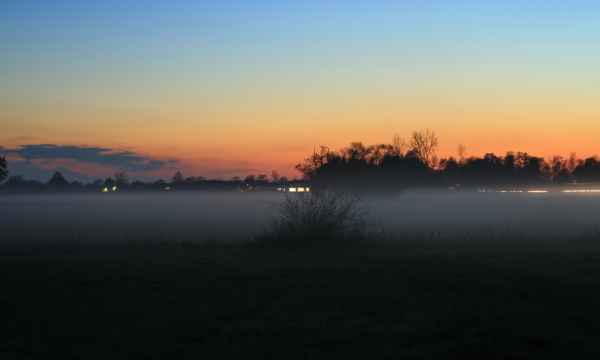 nebel in den wiesen zur blauen stunde 4