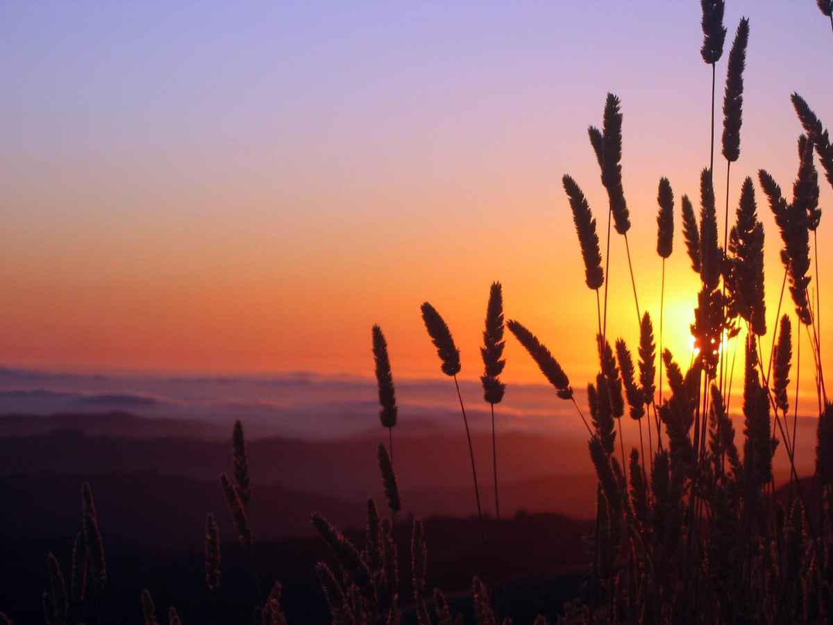 toscanische Sonnenuntergänge