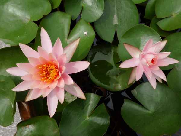 Peking-Verbotene Stadt 3