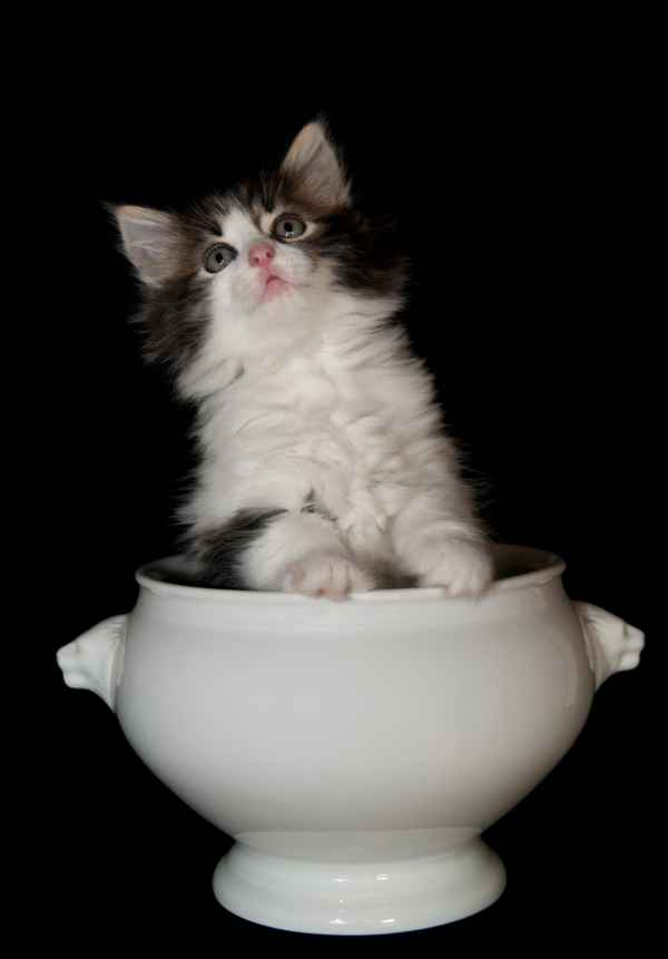 In der Suppenschüssel.....