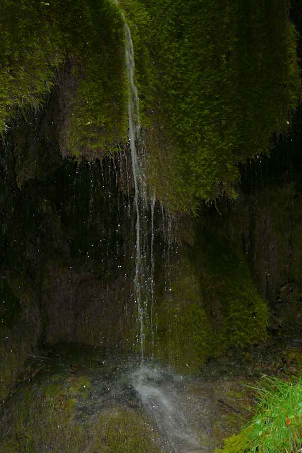 Naturdenkmal Dreimühlen-Waserfall bei Nohn (Vulkaneifel) #10