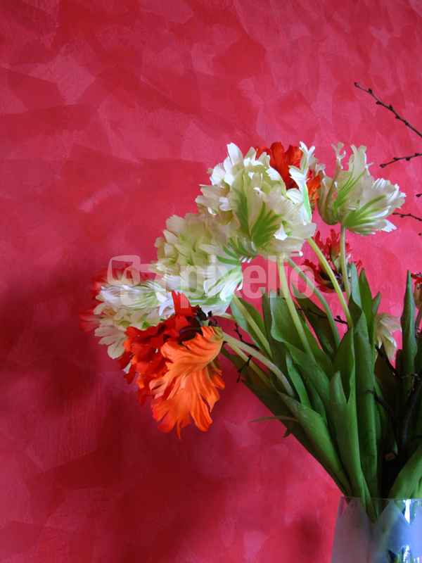 Glückwunsch mit Federtulpen