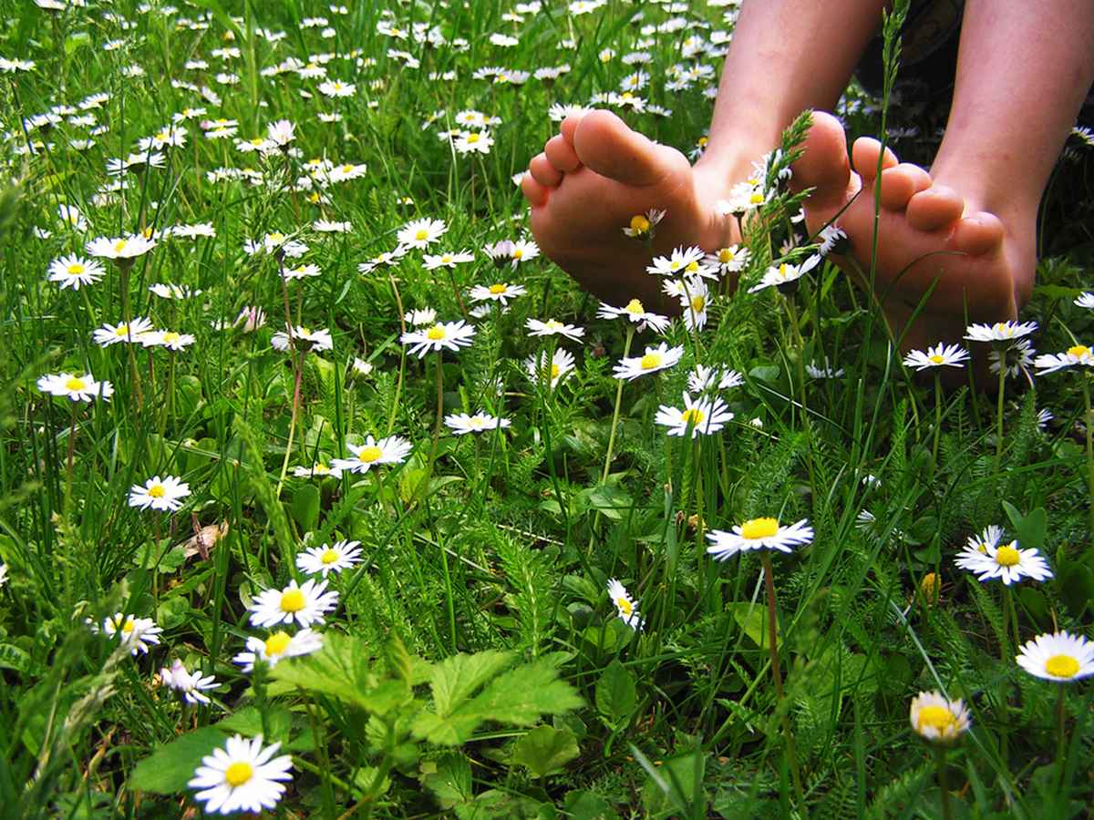 Und es war Sommer