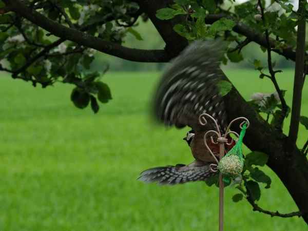 und weg 2