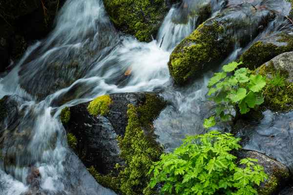 Am Sankenbach bei Baiersbronn 8
