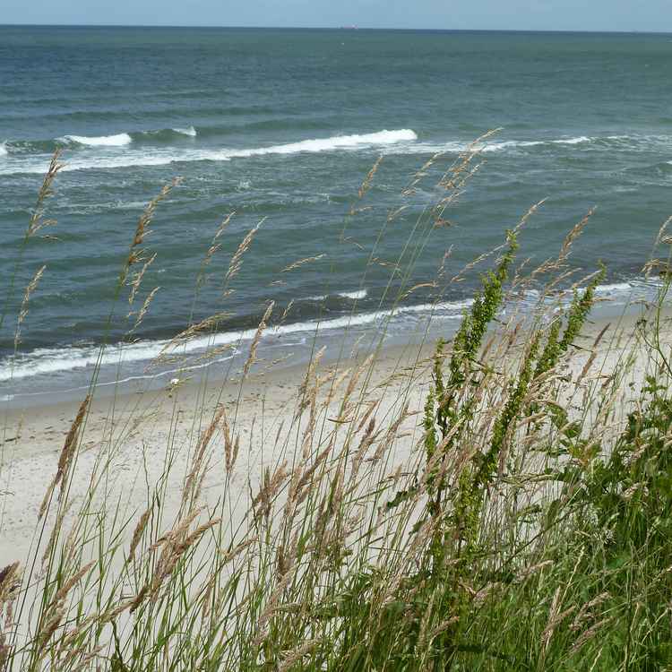 Seegang an der Ostsee (2)