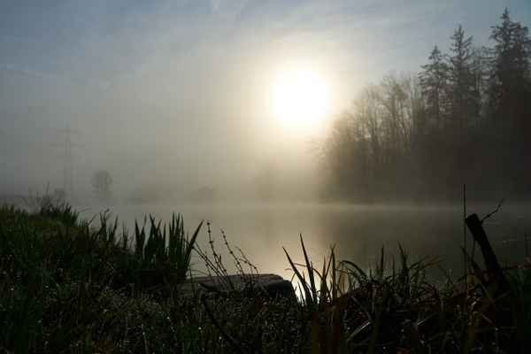Nebel, Wasser, Sonne