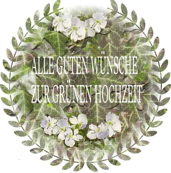 Hochzeitswunsch