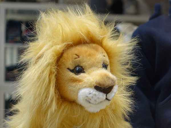 Leo