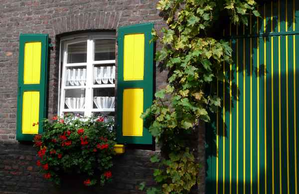 romantisches Fenster zu Zons am Rhein #2