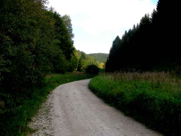 Kräuterweg bei Bärnfels
