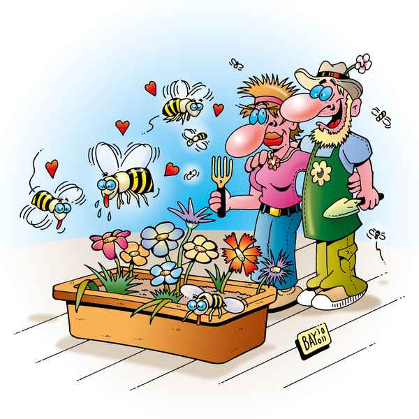 Klimawandel: Rettet die Bienen!