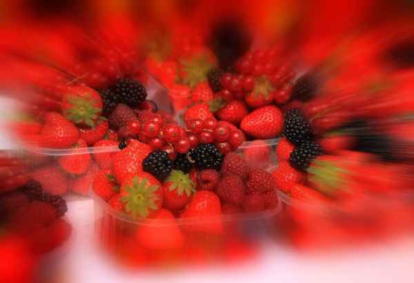 Sommer.Frische