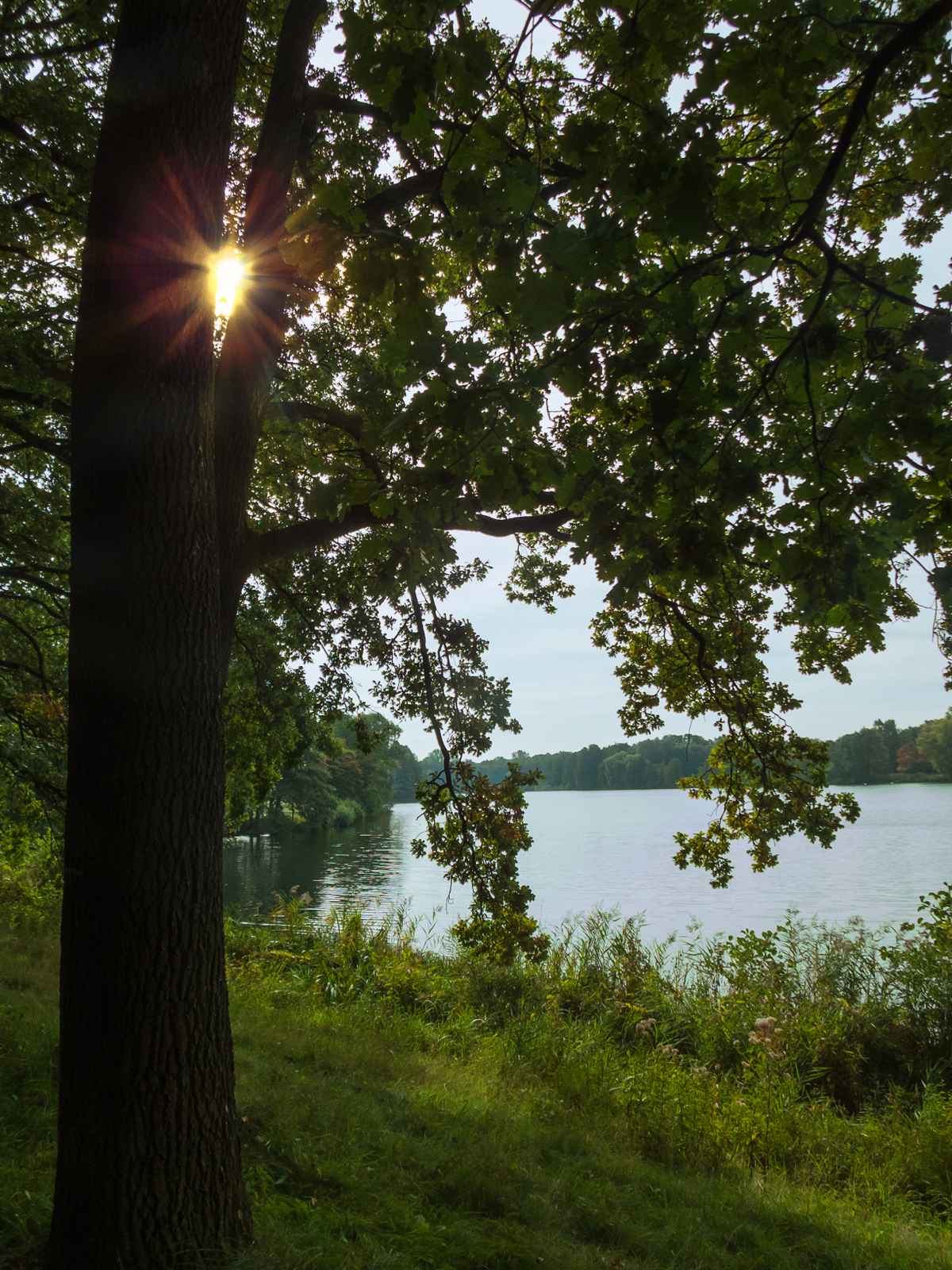 Am See