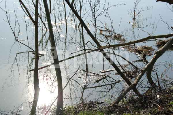 Wasser